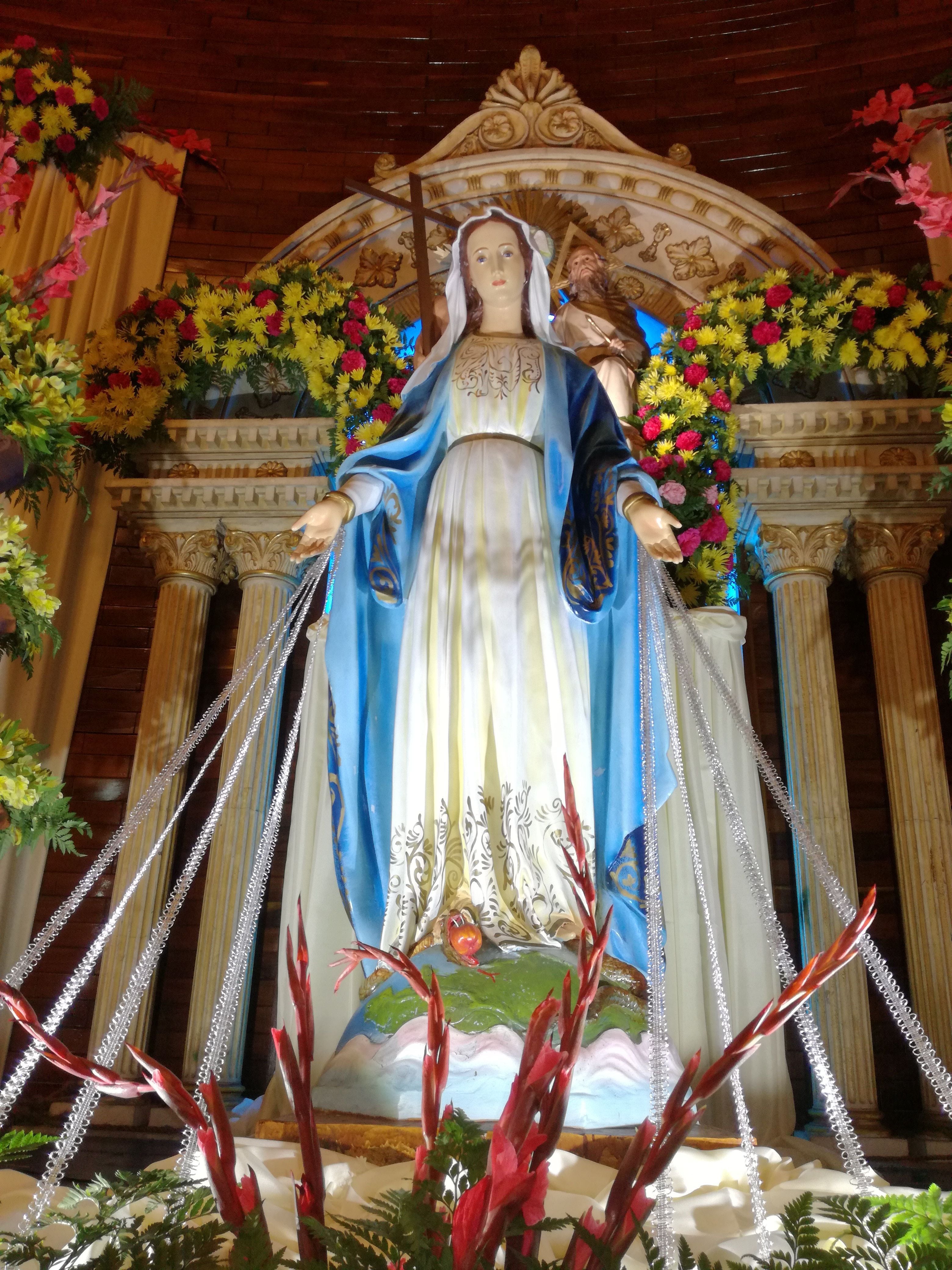 Novena virgen de la Medalla Milagrosa 2023 