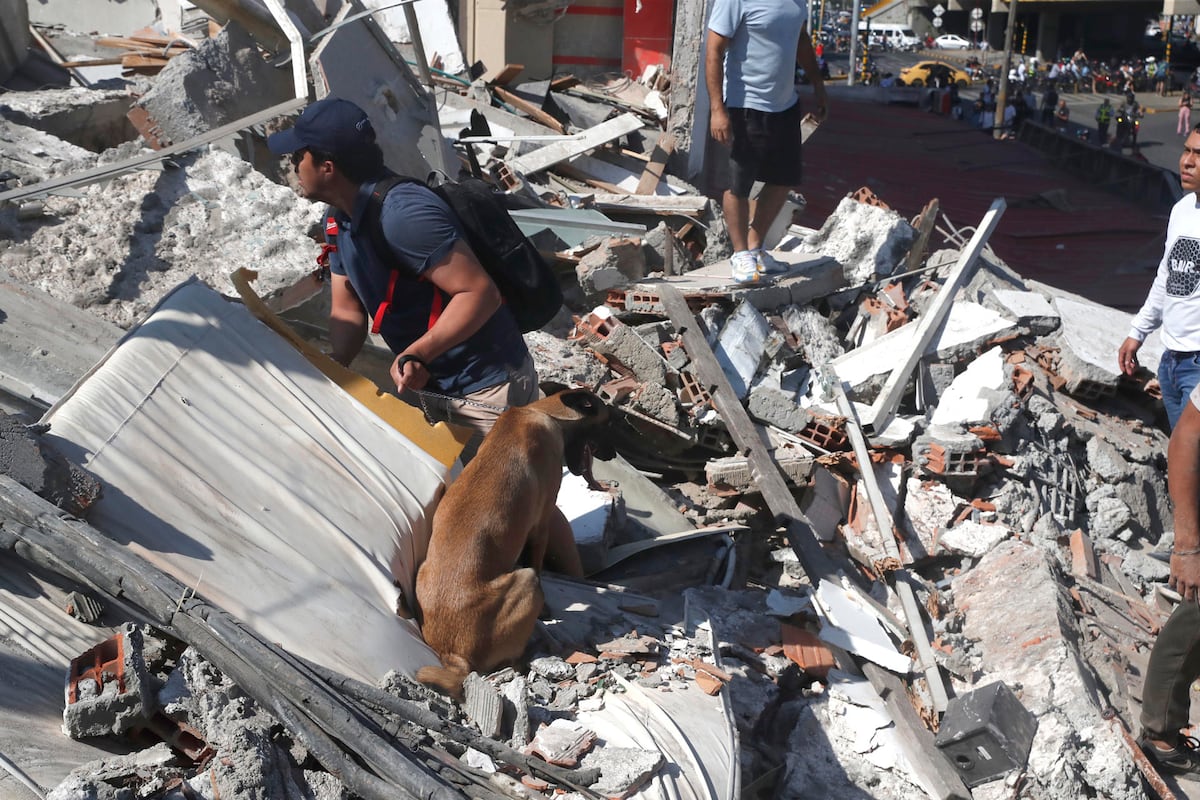 VÍDEO | Alcalde Mayer busca enviar cargamento de ayuda a Colombia tras sismo