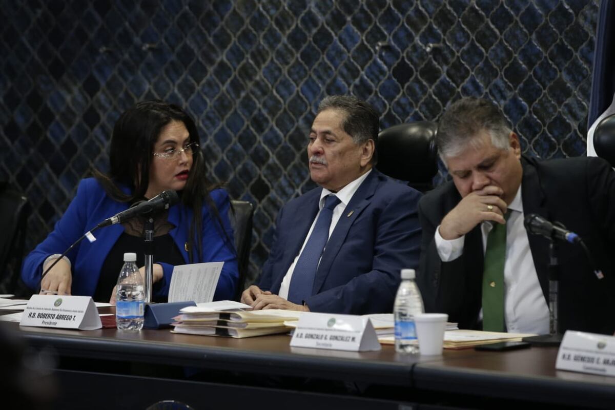 Zulay llega con gritos, reclamos y acusaciones para el procurador suplente Caraballo