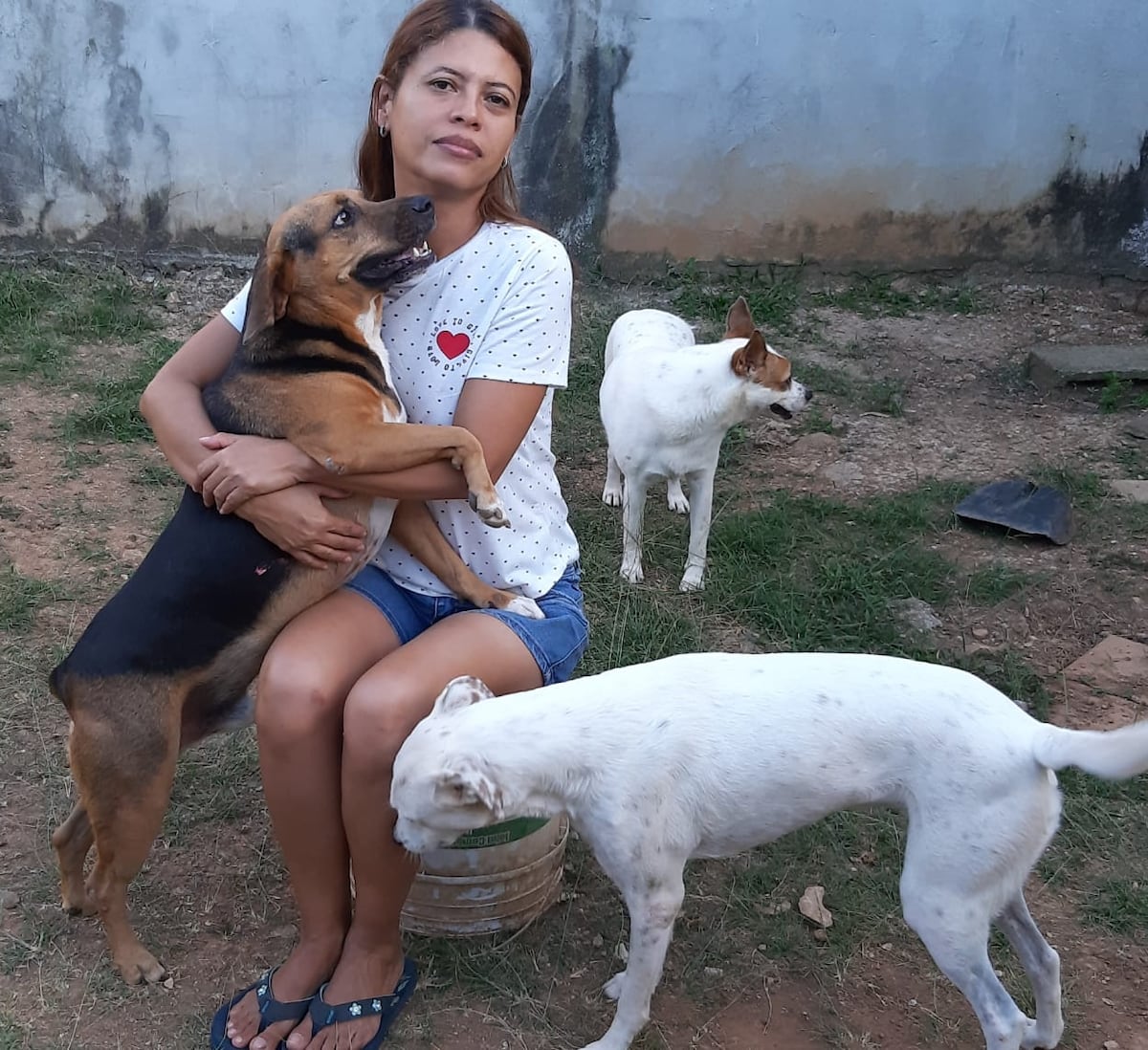 Pretendían que abandonara a sus perros, pero desde un principio se opuso a ese hecho