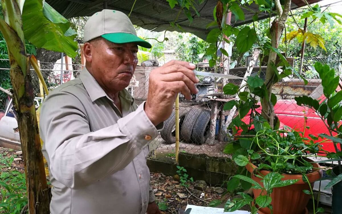 En lo que va del año, se han registrado 273 casos de dengue en San Miguelito