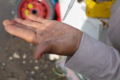 Panamá reduce casi a la mitad los casos de dengue en 2026, según el Minsa