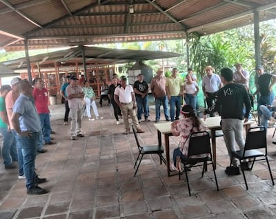 Productores porcinos buscan alternativas ante excedente de producción