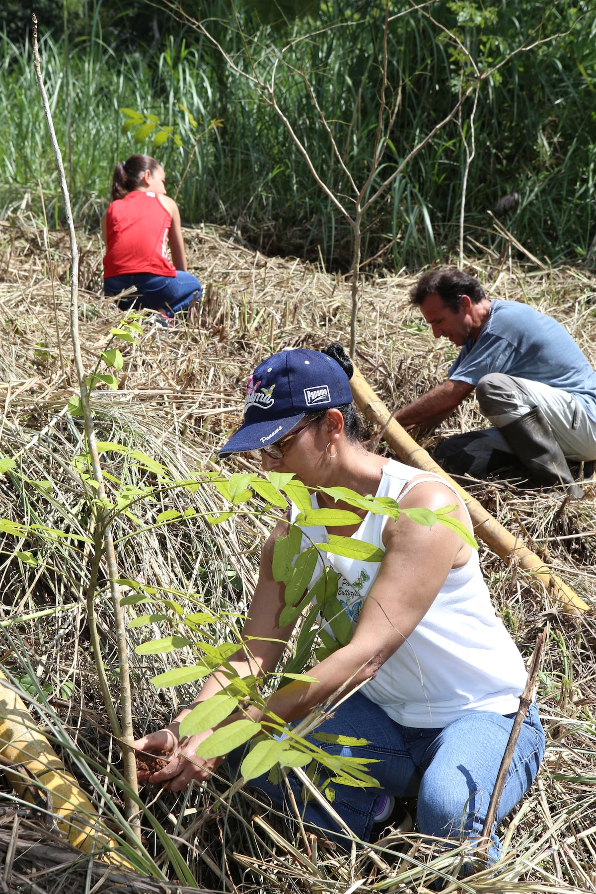 Buscan que futura recuperación de sectores públicos y privados impacten menos al medio ambiente