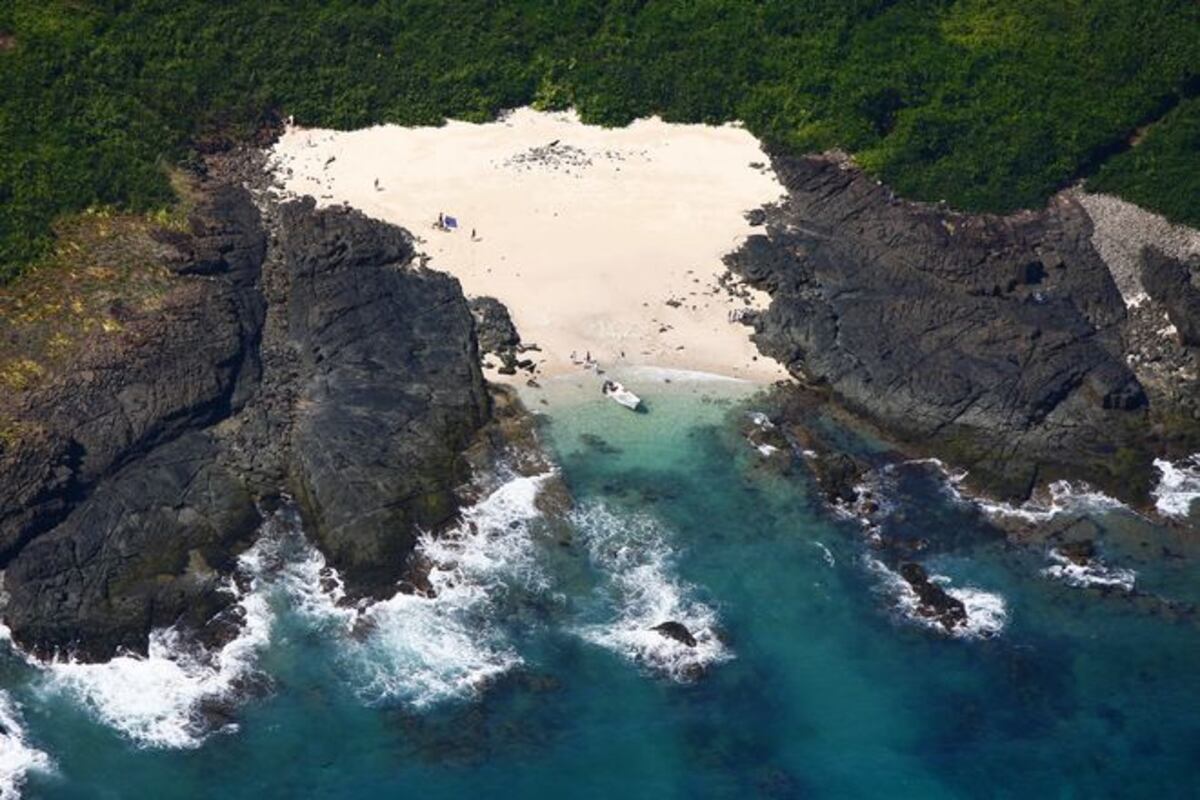 ¡ESCALOFRIANTE! Hallan 'bomba' en isla Iguana 