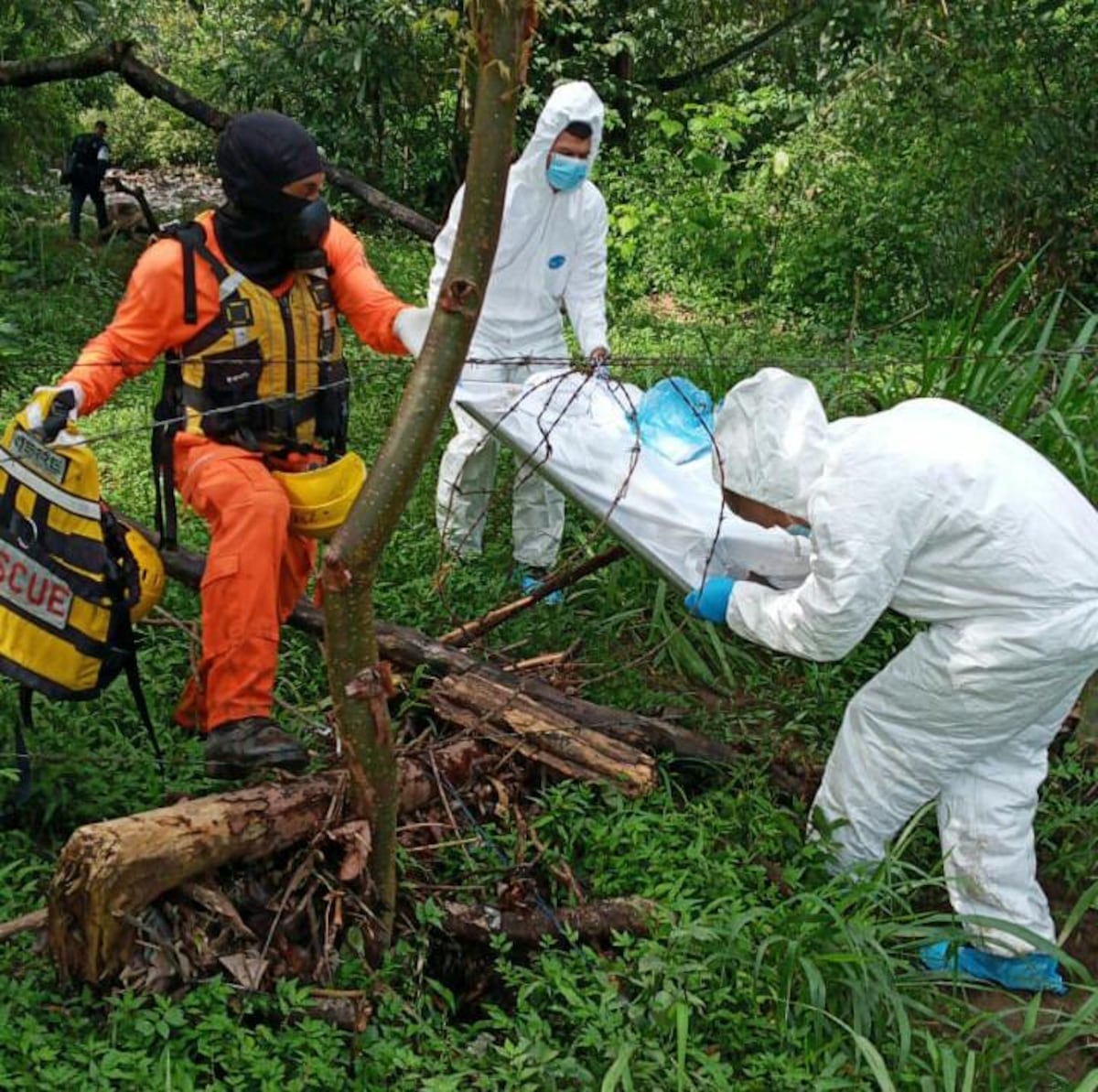 Encuentran un cadáver. Flotaba a orillas de un río