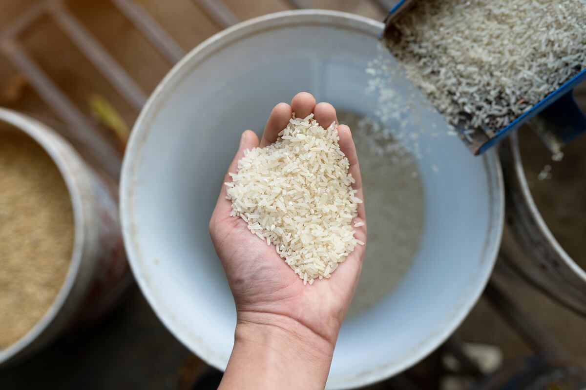 Decomisan 600 quintales de semilla de arroz de contrabando en Chiriquí