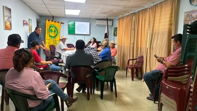 MIDA busca revivir el tomate industrial en Los Santos con plan estratégico