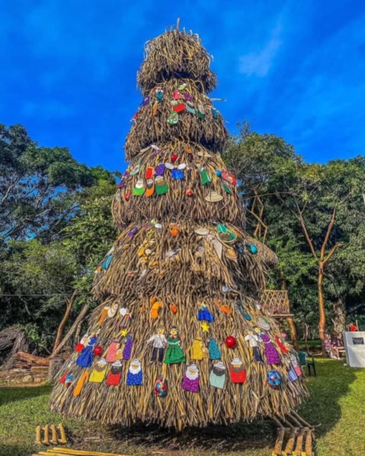 Llegó la Navidad a El Cocal de Penonomé con un árbol 100% natural y único