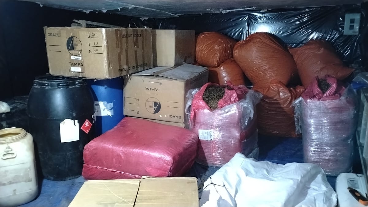 ¡NO ERA UNA SIMPLE RESIDENCIA! Hallan taller clandestino de puros en La Chorrera