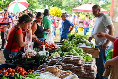 ¡A madrugar! Agroferias del IMA vienen con comida barata: mira dónde estarán este jueves y viernes