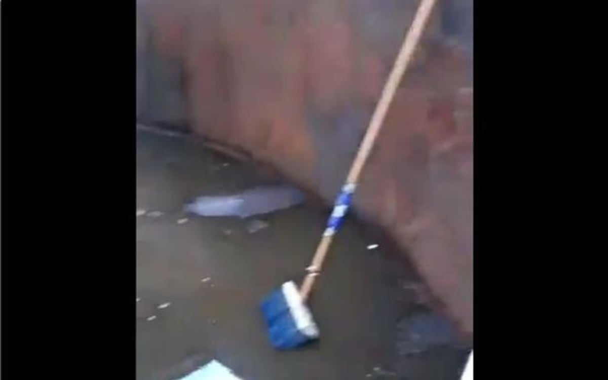 '¡Ay, Dios,¿yo tomaba esto?!' Video de tanque de agua causa alarma en San Isidro