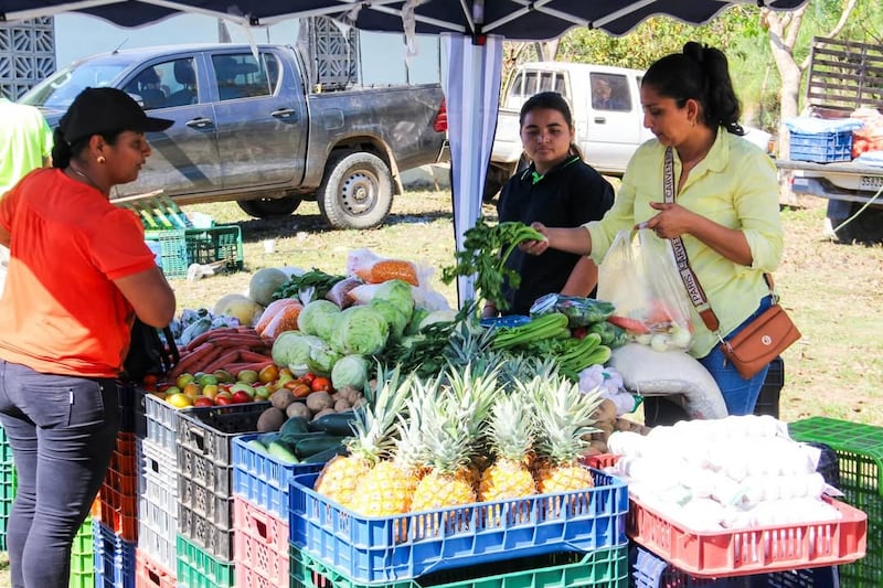 Arroz barato y alivio al bolsillo en varias provincias en las agroferias