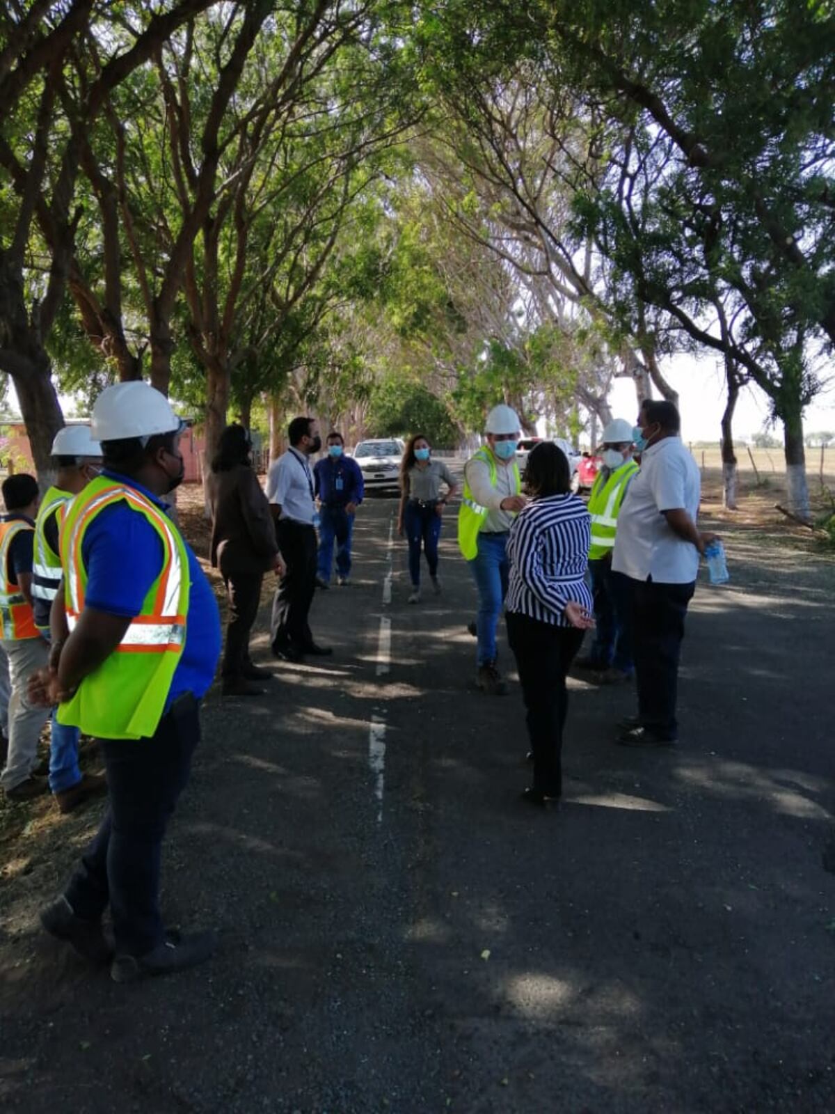 Tras denuncia ciudadana sobre tala de árboles, MiAmbiente aclara que no emitió permiso de tala para túnel verde de Guararé