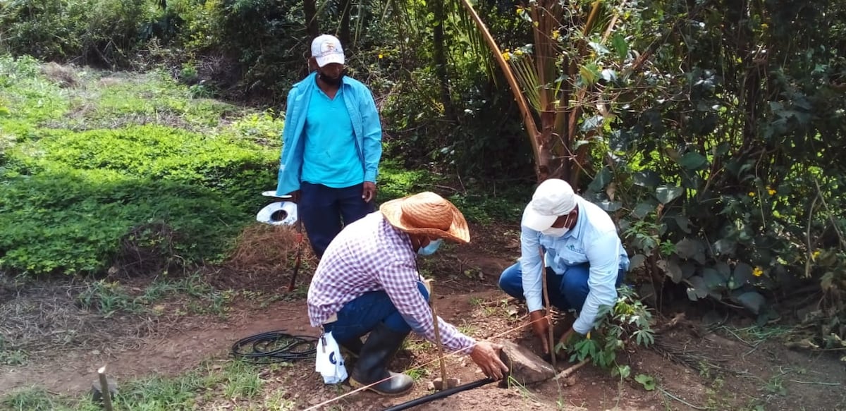 Embajada de Israel dona sistema de riego por goteo a granjas del Patronato de Nutrición en la Comarca Ngäbe Buglé