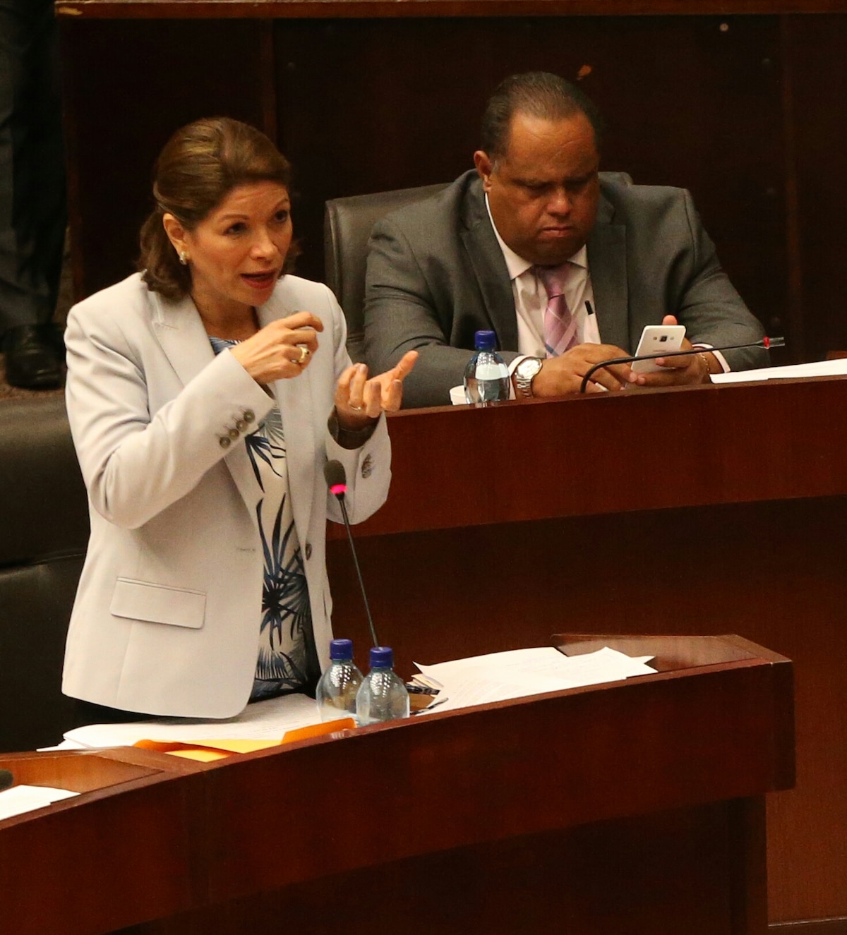 Ana Matilde Gómez buscará  regresar a la Asamblea y ya hay reacciones