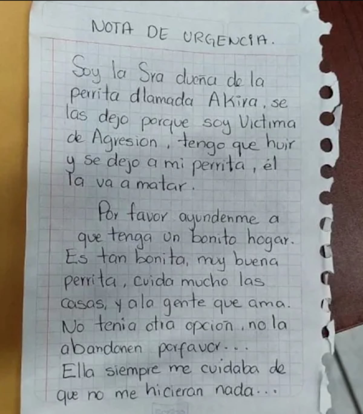 Decidió regalar a su perrita para evitar que su esposo la matara