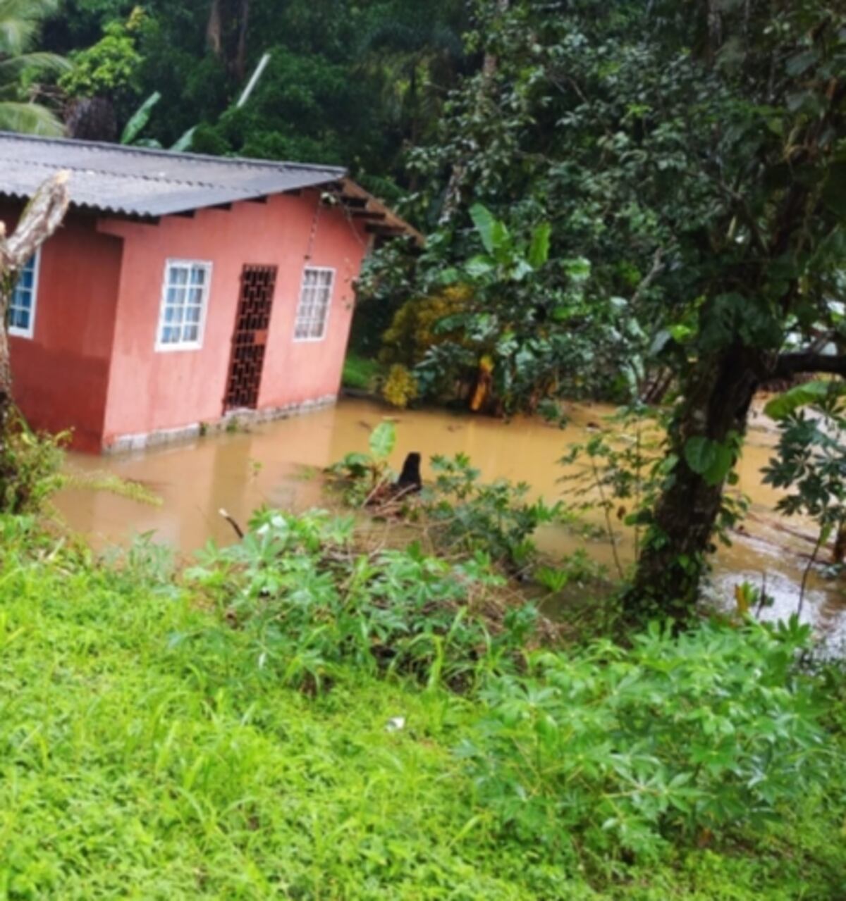 Mal tiempo causa afectaciones en varios puntos del país, entre 2 y 3 de julio debe entrar onda tropical