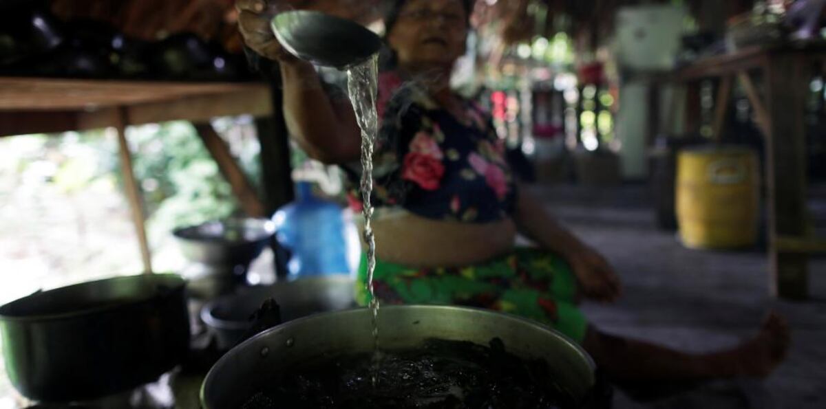 Los Emberá ahuyentan la muerte por la covid-19 con medicina ancestral en Panamá