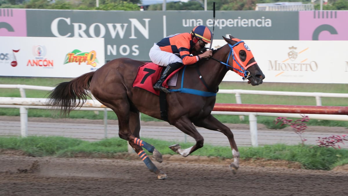 Clásico Familia Grimaldo prende la pista con ocho yeguas de lujo
