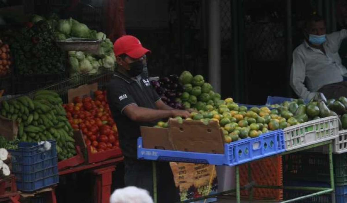 ‘Peleo hasta por un tomate’: Panameños indignados por el costo de la vida