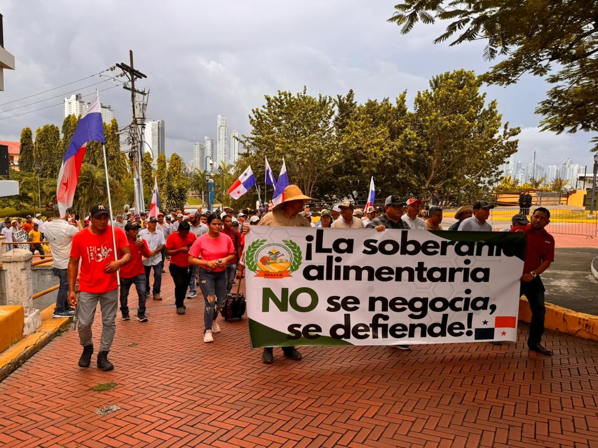 Asociación arrocera exige pagos atrasados y rechaza importación masiva