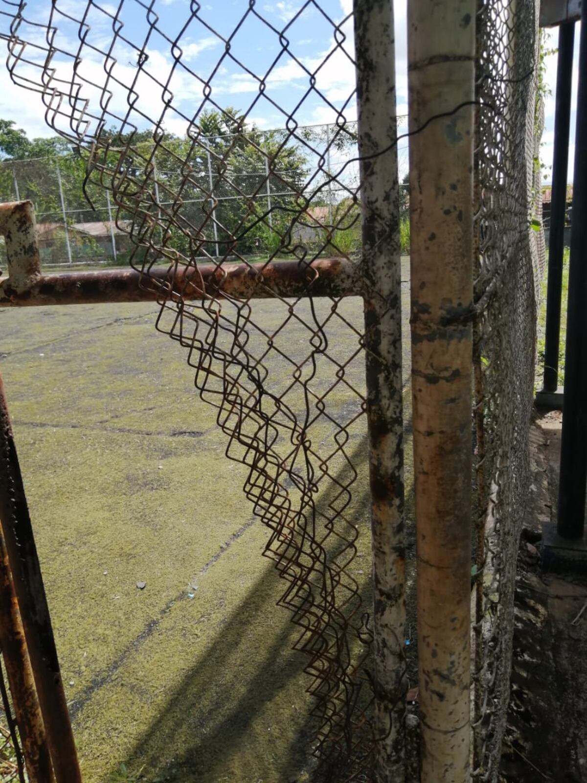 Entre heces de palomas, basura, mal olor y el mal estado de las infraestructuras,  estudiantes de la escuela de Cerro Tigre reciben clases