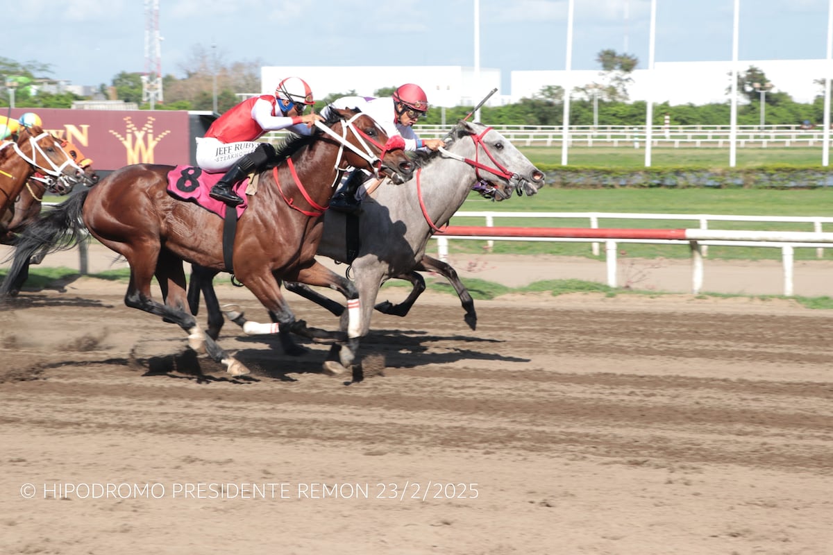 Jesús Barría impone su ley en el Hipódromo Presidente Remón: ¡Nadie lo detiene!