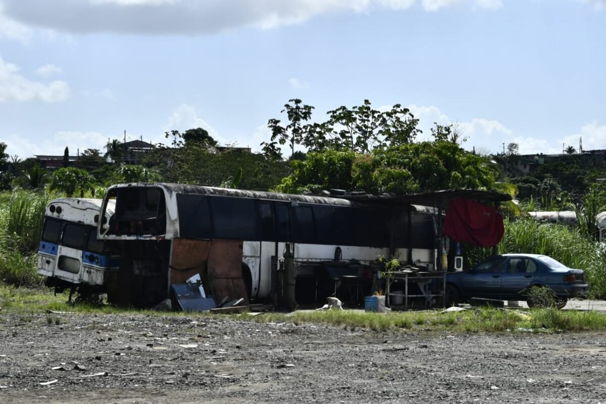 De presidir la empresa de transporte panameña Transalima a vivir en un bus desde hace 15 años | Video