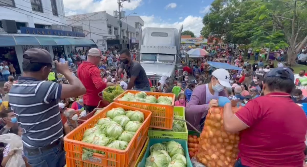 La crisis en Panamá deja pérdidas de 500 millones de dólares a agroindustria