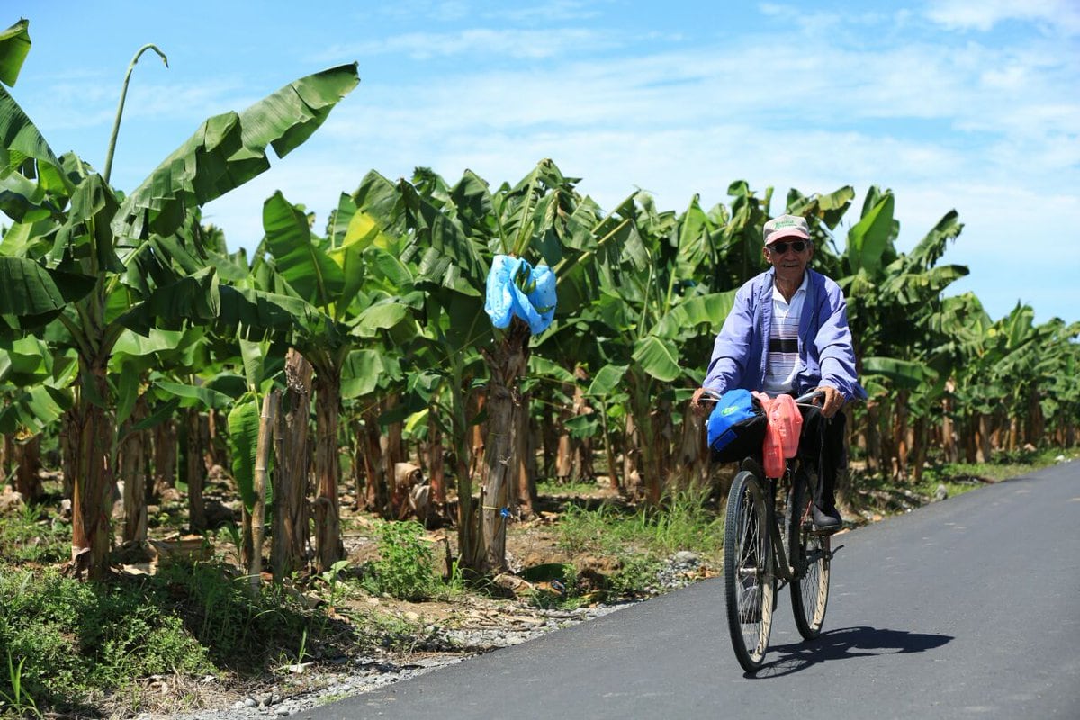 Esperanzas en Barú está en las propuestas para la reactivación bananera y turística