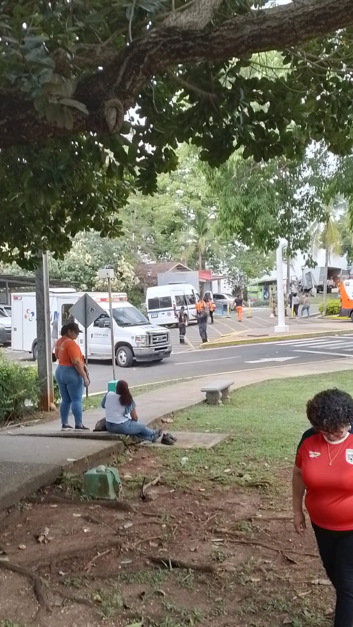 LO ÚLTIMO: Camión con ayuda humanitaria se quedó sin frenos y tomó una decisión que evitó una tragedia en el Parque Omar