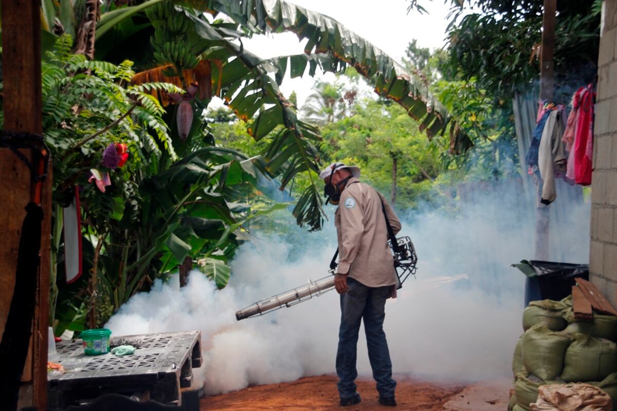 Se eleva a 3 mil 601 la cifra de casos confirmados de dengue en Panamá 