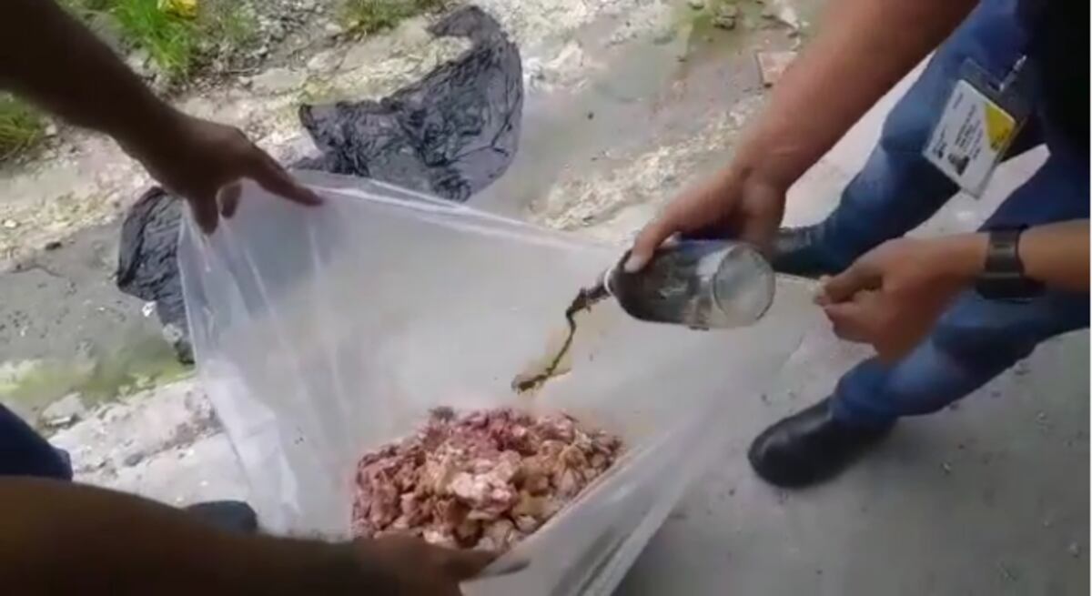 ¡Sí era carne de chivo! Minsa destruye la carne en restaurante asiático de Condado del Rey por incumplir norma | Video