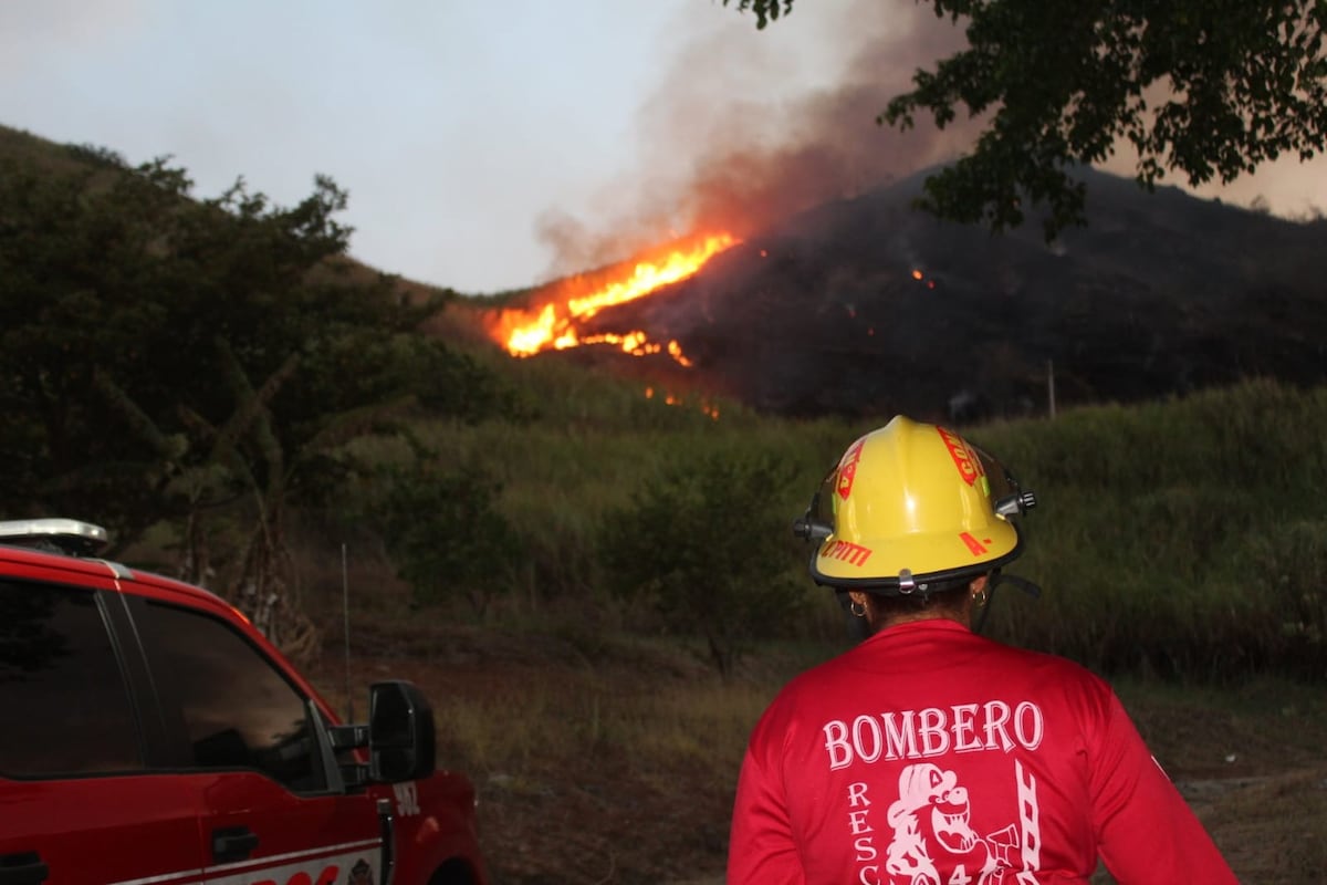 Los incendios de masa vegetal: ¿Cómo ocurren y cómo evitarlos?