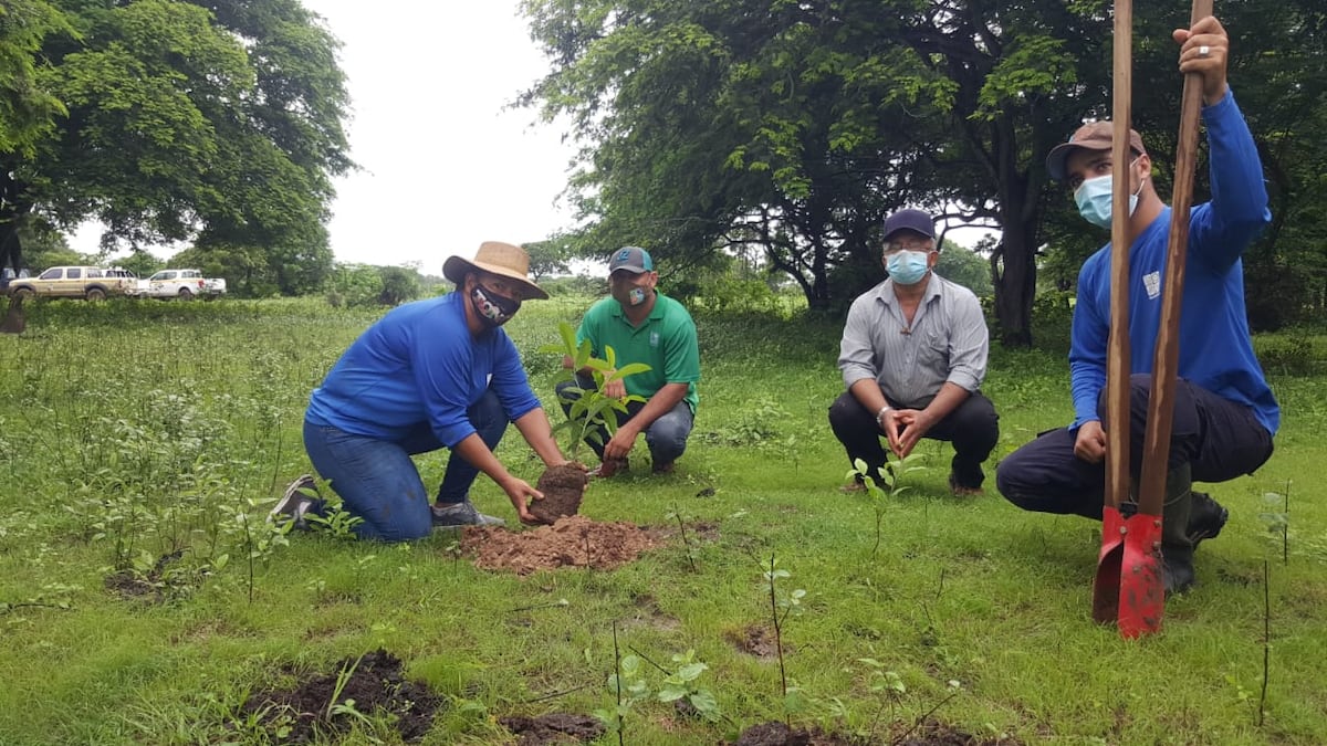 Celebran el día Nacional de la reforestación