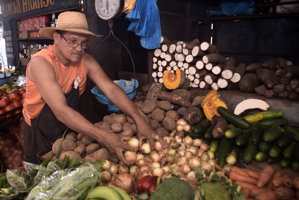 ¡Para llorar! el precio de la cebolla se dispara tras baja producción en Panamá