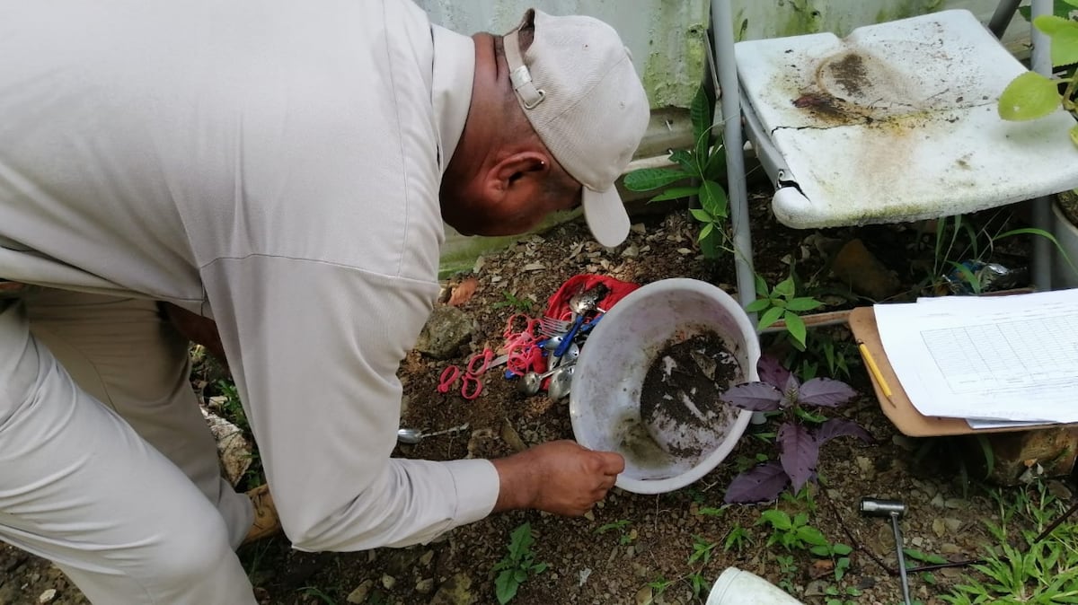 Limpie sus alrededores. San Miguelito acumula 98 casos de dengue