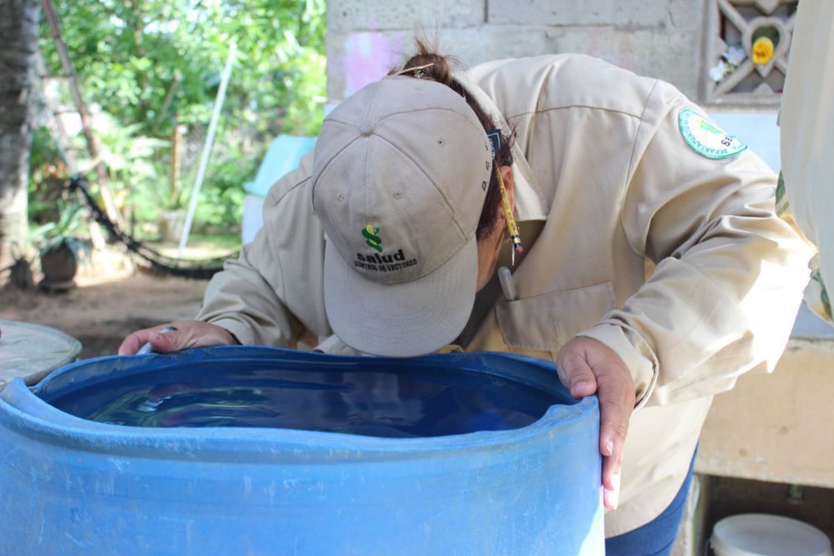 Panamá Este se sitúa como la región del país con mayor incidencia de dengue