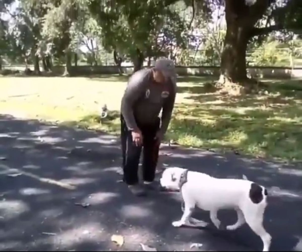 Escalofriante. Circula video donde supuestamente aparece un duende en Santiago de Veraguas