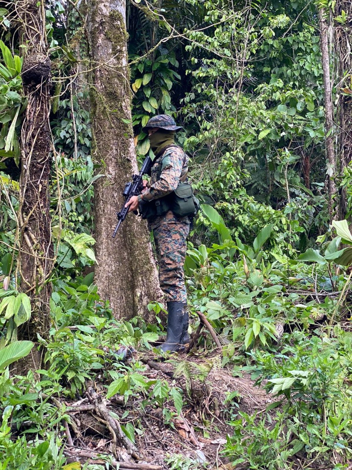 Colombianos son aprehendidos por el Senafront extrayendo oro en Guna Yala 