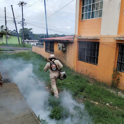 Llaman a la comunidad a unir fuerzas contra el dengue tras brote en Puerto Pilón