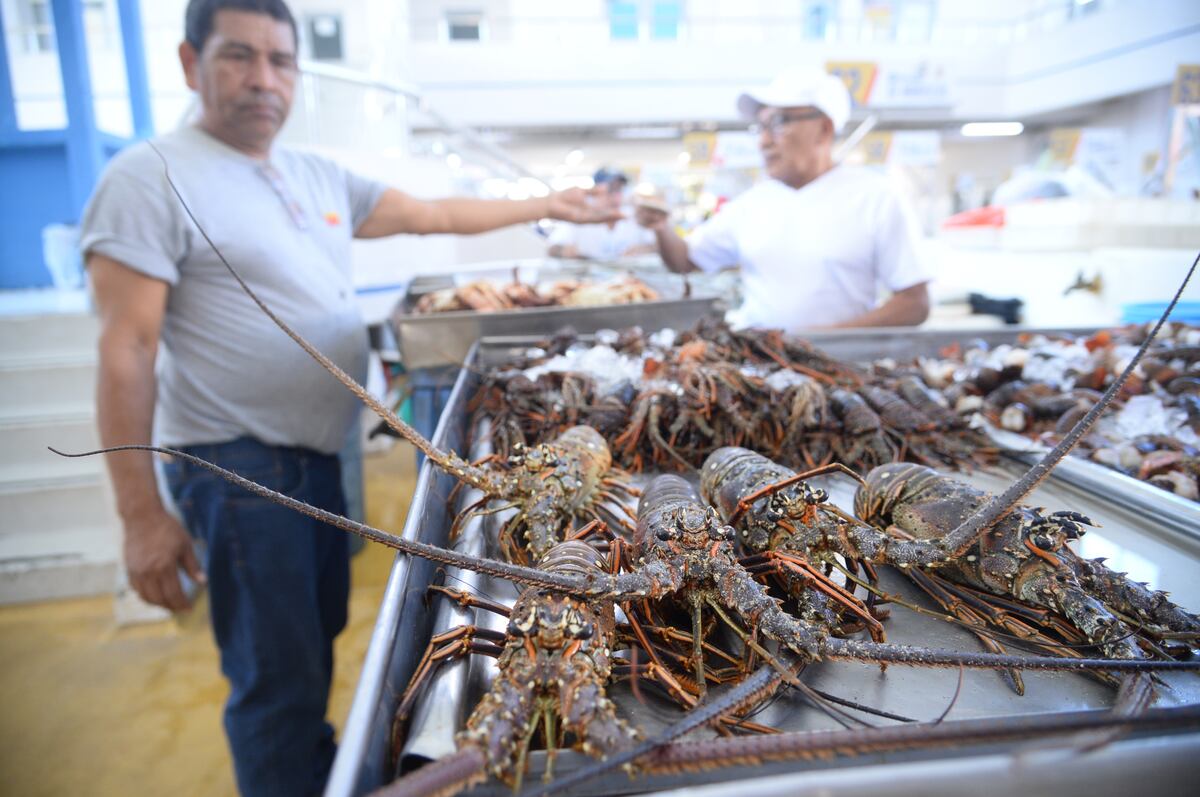 Ya algunos panameños se preparan para la cuaresma. Chequee los precios de los mariscos