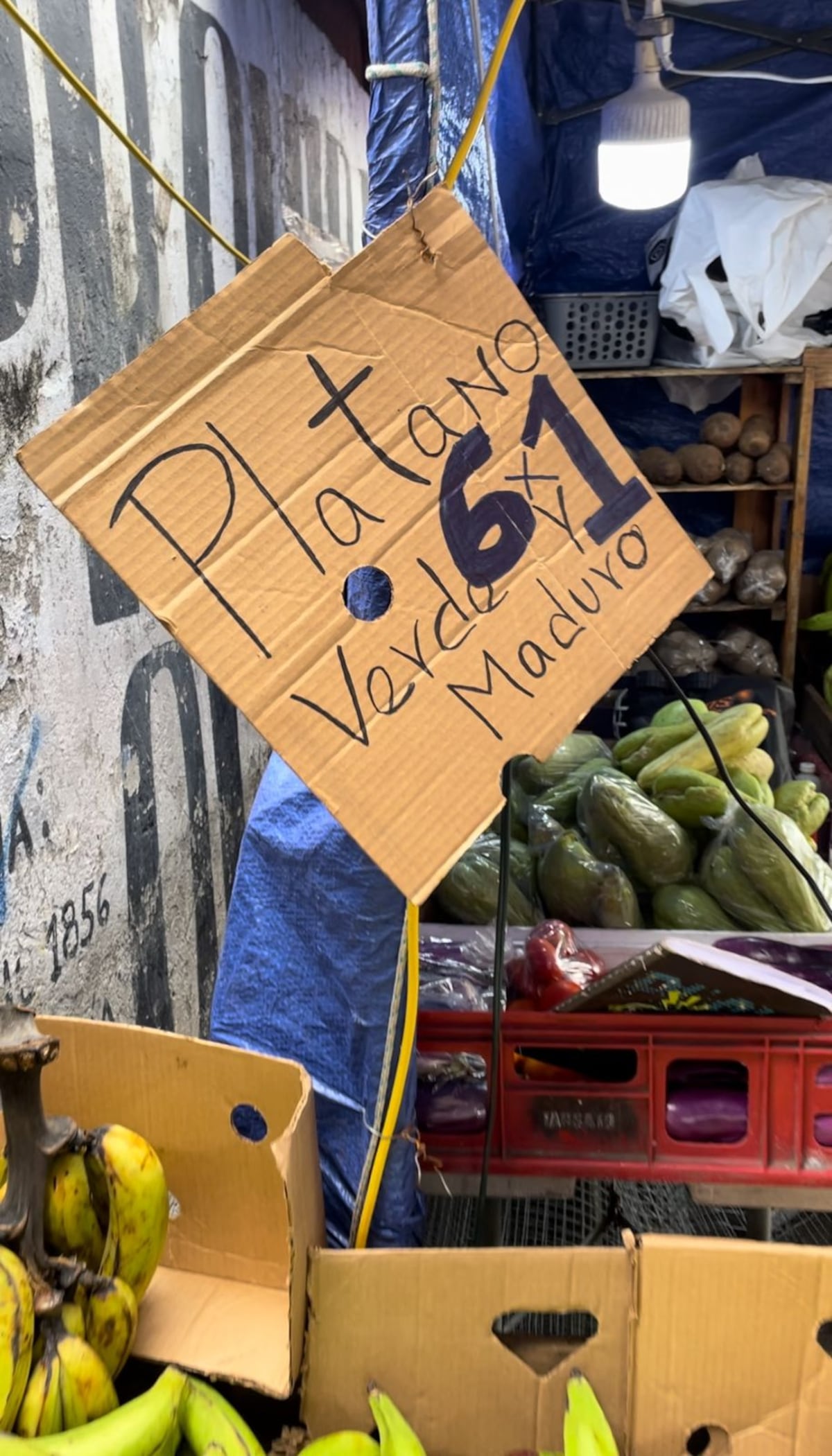 Todo a 1 dólar. El panameño compra sus vegetales en la Plaza 5 de mayo para ahorrar en tiempos de crisis