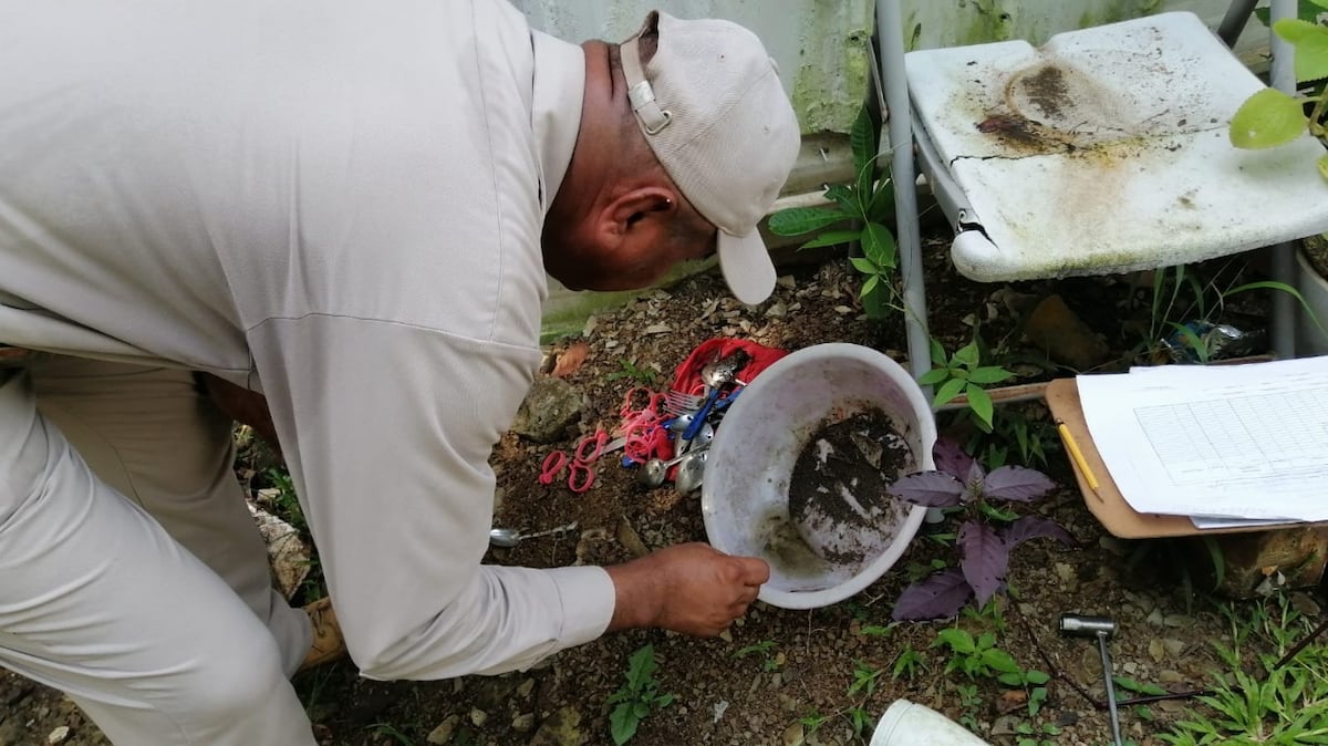 Panamá confirma 180 casos de dengue en lo que va 2023