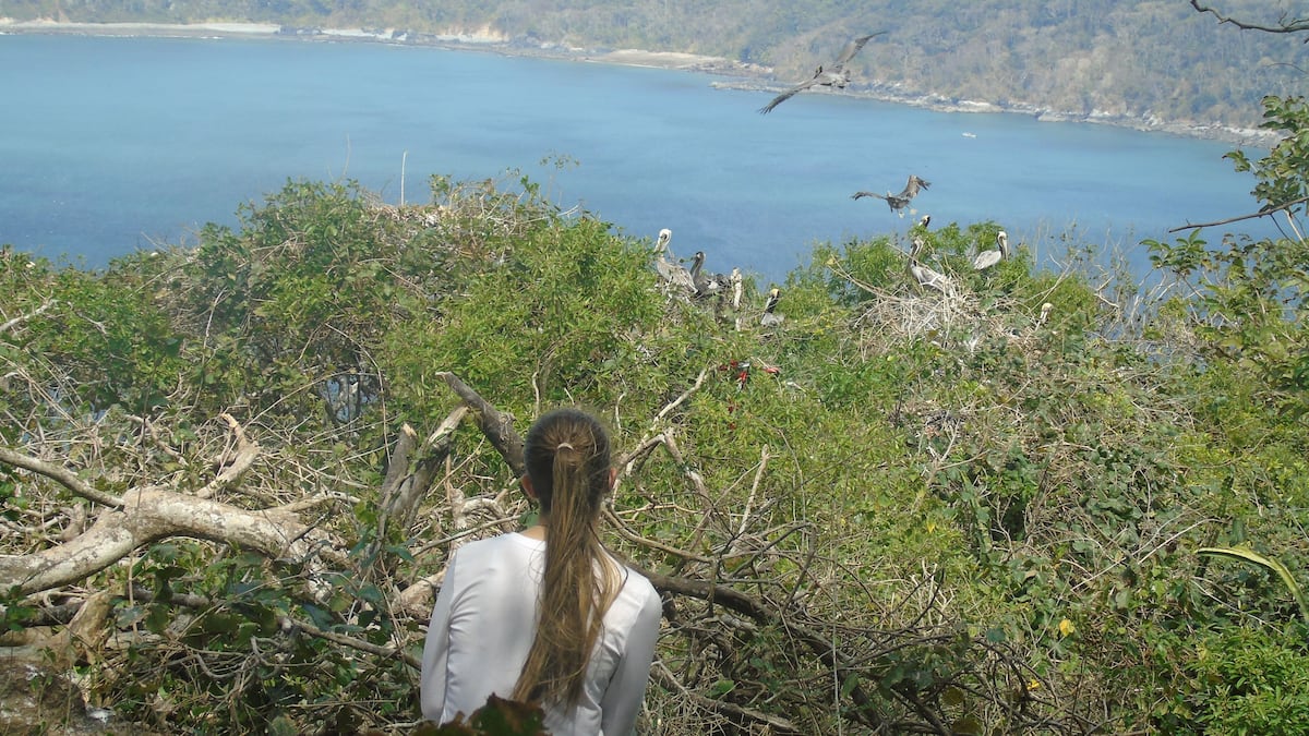 Echan pa’atrás. Consejo Económico Nacional deja sin efecto contrato de arrendamiento en Isla Boná