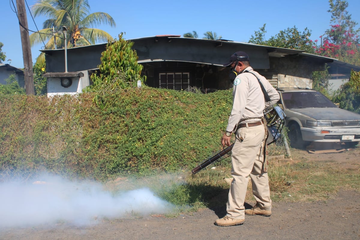 Ya van 8 muertes por dengue y 21 casos de gusano barrenador en humanos en este año reporta Minsa