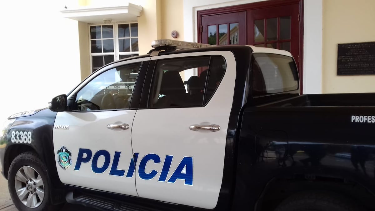 Pillan a ladrona con las manos en la masa. Le robó la billetera a una Policía. Literal