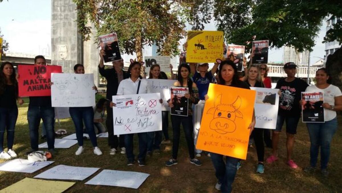 ¡POR SANGUINARIOS! Buscan parar una corrida de toros en Panamá