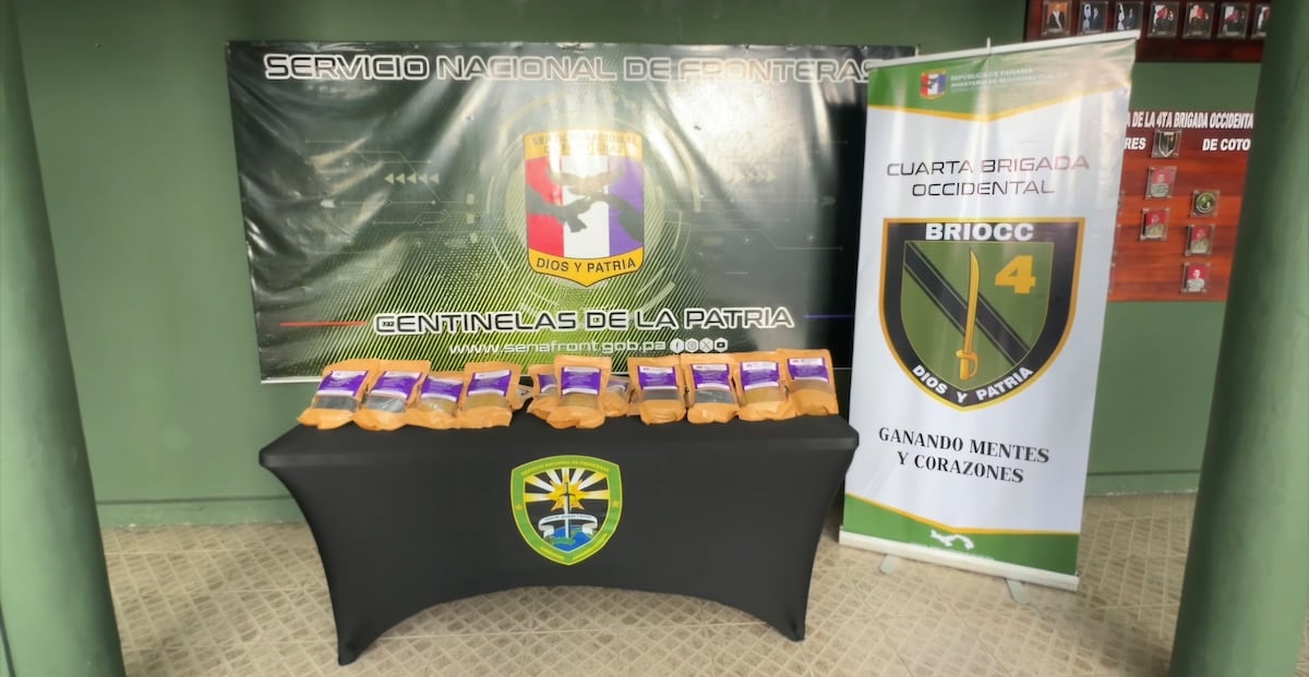 Droga viajaba como encomienda: detectan 19 bolsas en busito en Chiriquí durante operativo fronterizo